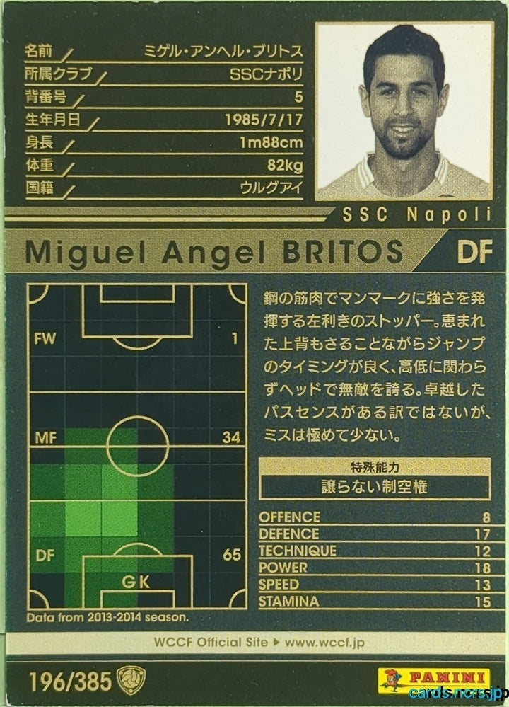 Panini WCCF Football WCCF/2013-2014-196/385 N Miguel Angel BRITOS Trading Card EX
