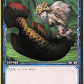 Wixoss Bk Wixoss WX10-044 R Pirarucu Trading Card NM