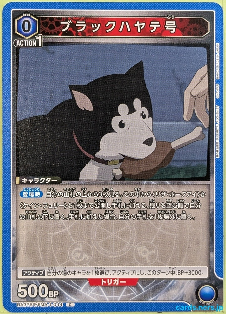 Union Arena Fullmetal Alchemist UA37BT/FMA-1-044C C Black Hayate Trading Card NM