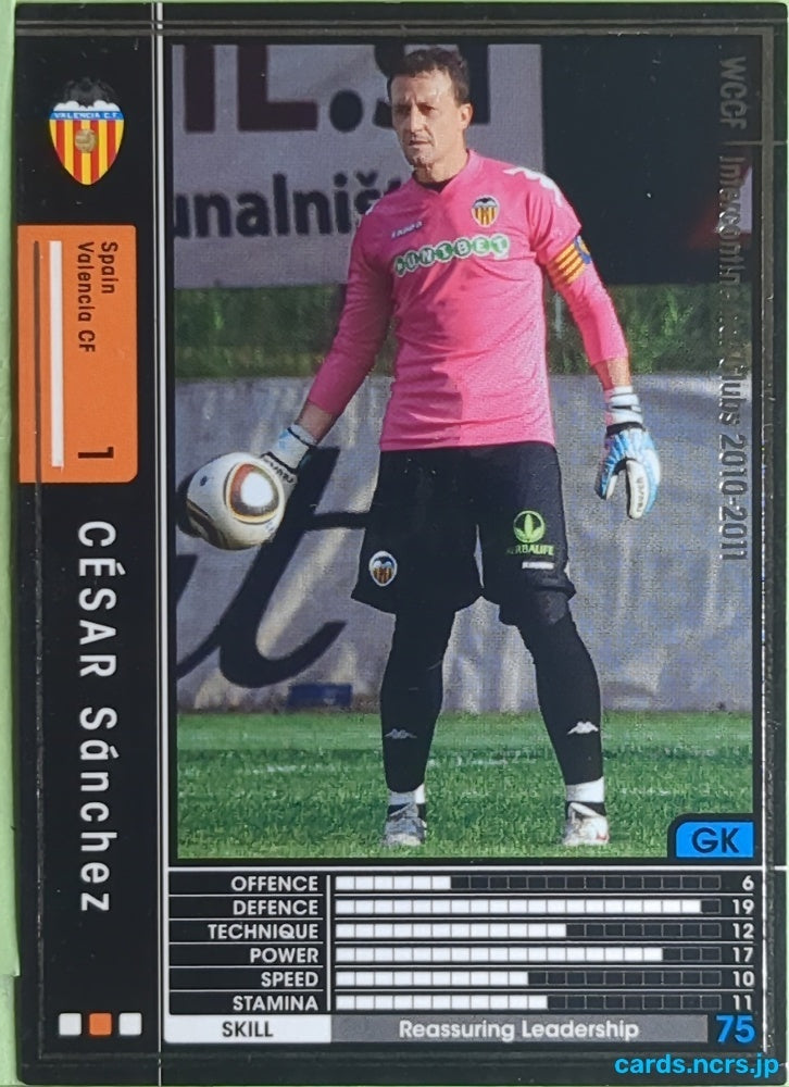 Panini WCCF Football WCCF/2010-2011-321/352 N César Sánchez Trading Card EX