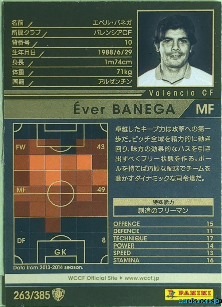 Panini WCCF Football WCCF/2013-2014-263/385 N Éver Banega Trading Card EX