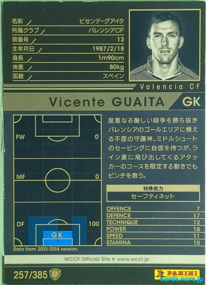 Panini WCCF Football WCCF/2013-2014-257/385 N Vicente Guaita Trading Card EX