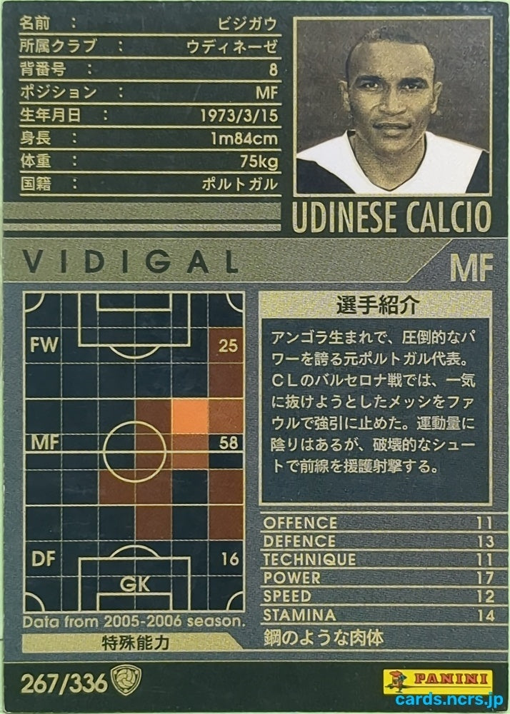Panini WCCF Football WCCF/2005-2006-267/336 N Vidigal Trading Card EX