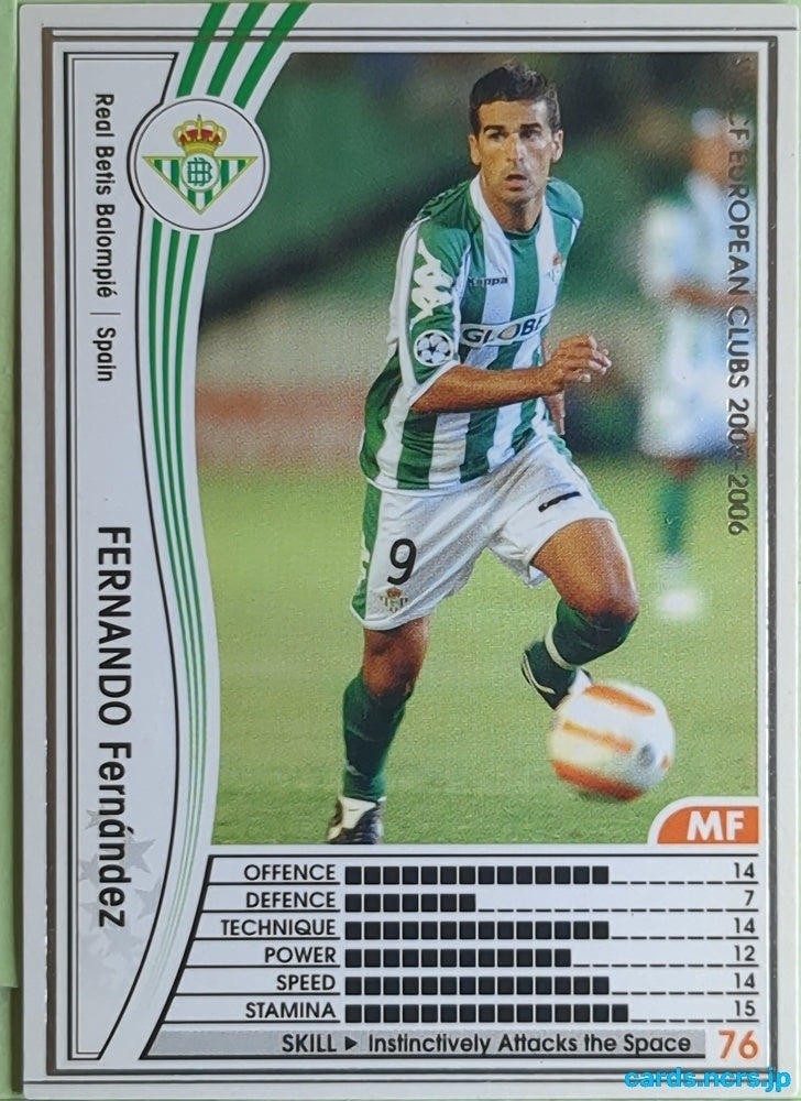 Panini WCCF Football WCCF/2004-2005-299/336 N Fernando Fernández Trading Card EX