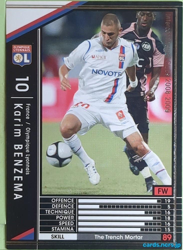 Panini WCCF Football WCCF/2008-2009-140/352 N Karim BENZEMA Trading Card EX