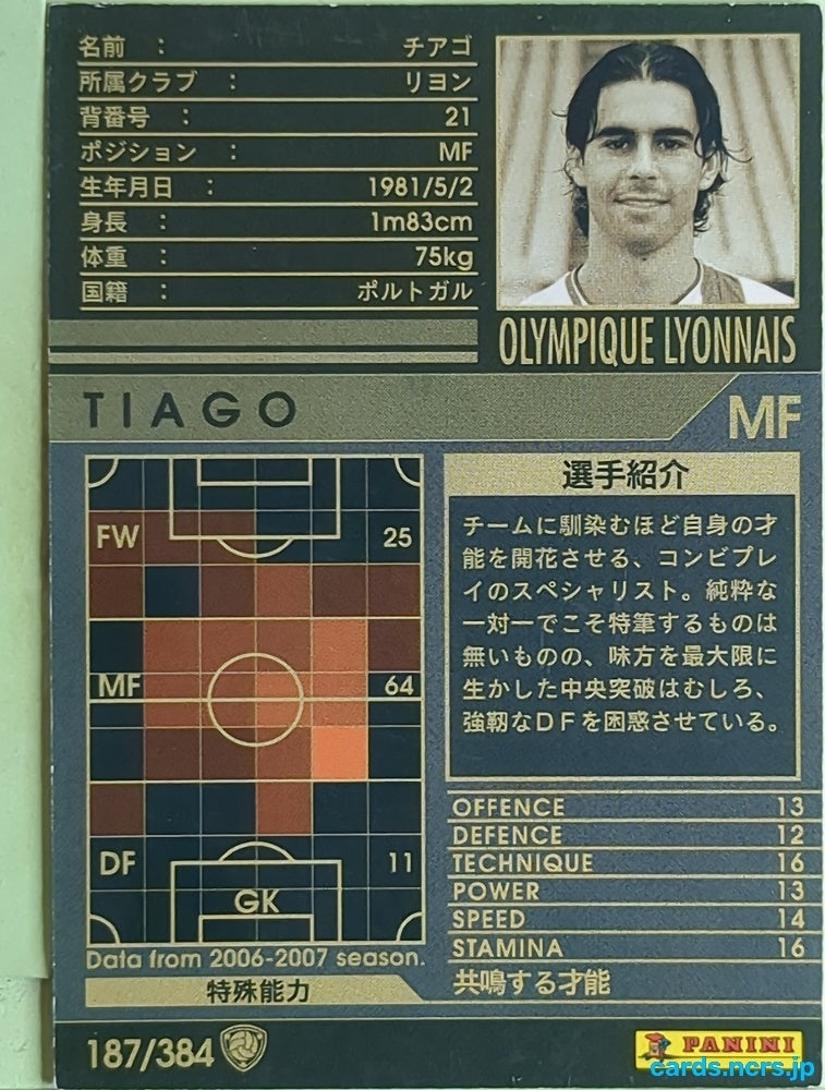 Panini WCCF Football WCCF/2006-2007-187/384 N THIAGO SILVA Trading Card EX