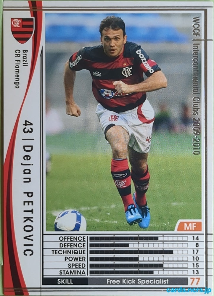 Panini WCCF Football WCCF/2009-2010-043/384 N Dejan PETKOVIC Trading Card EX