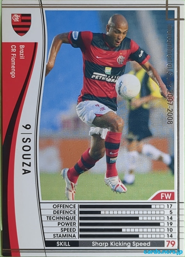 Panini WCCF Football WCCF/2007-2008-047/336 N SOUZA Trading Card EX