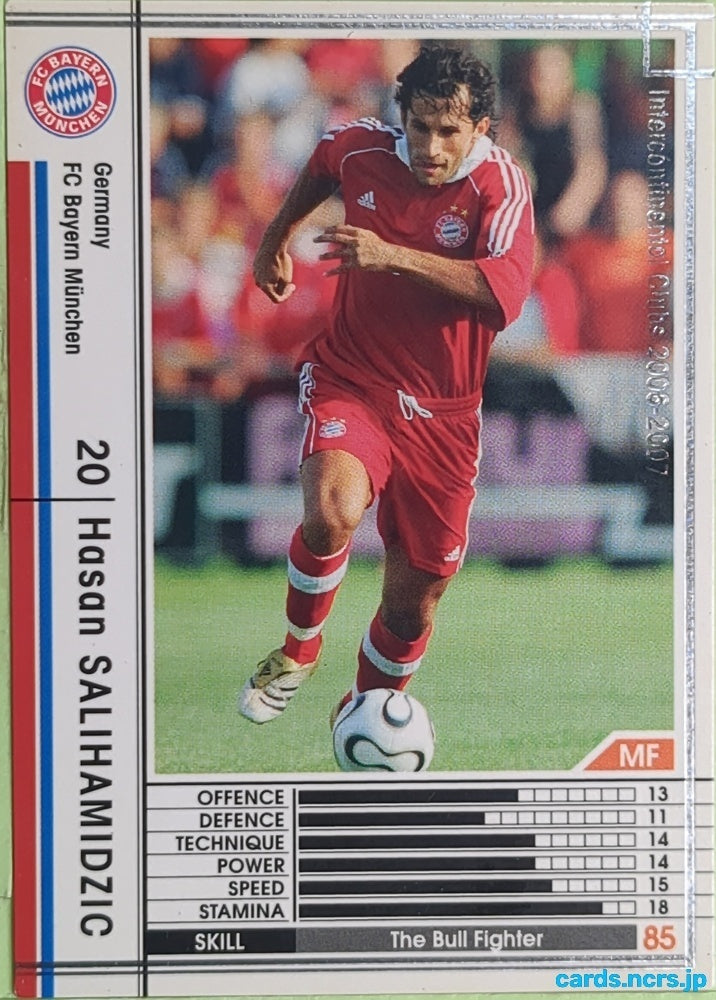 Panini WCCF Football WCCF/2006-2007-202/384 N Hasan SALIHAMIDZIC Trading Card EX