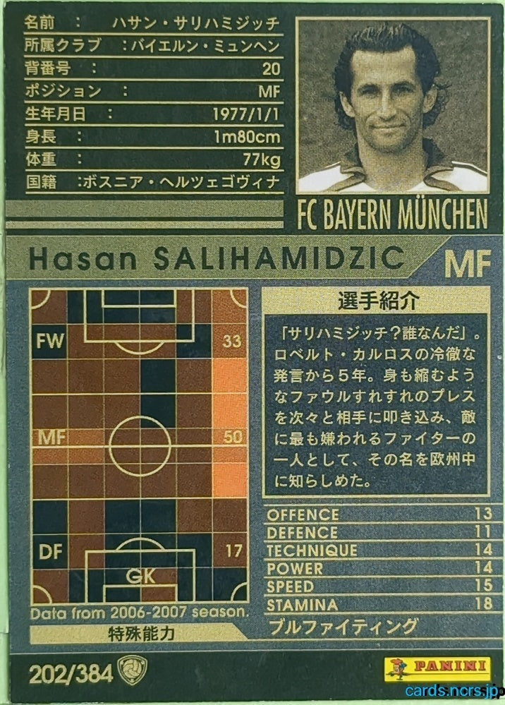 Panini WCCF Football WCCF/2006-2007-202/384 N Hasan SALIHAMIDZIC Trading Card EX