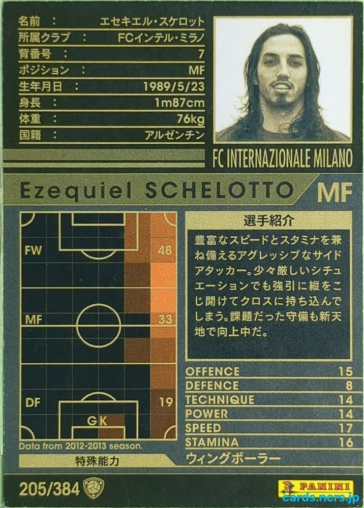 Panini WCCF Football WCCF/2012-2013-205/384 N Ezequiel Schelotto Trading Card EX