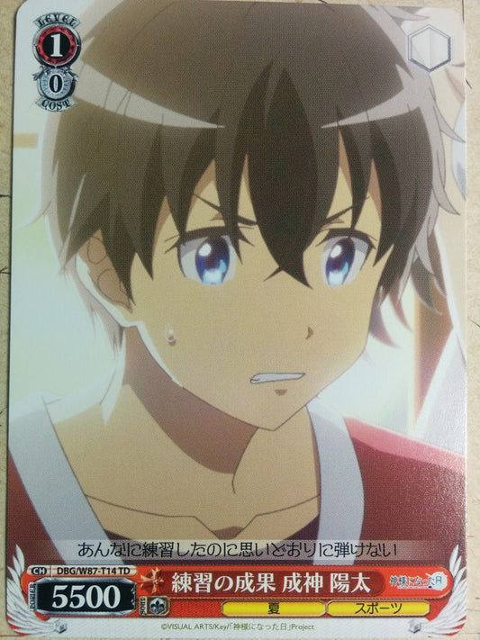 Weiss Schwarz The Day I Became a God -Yota- Trading Card DBG/W87-T14TD