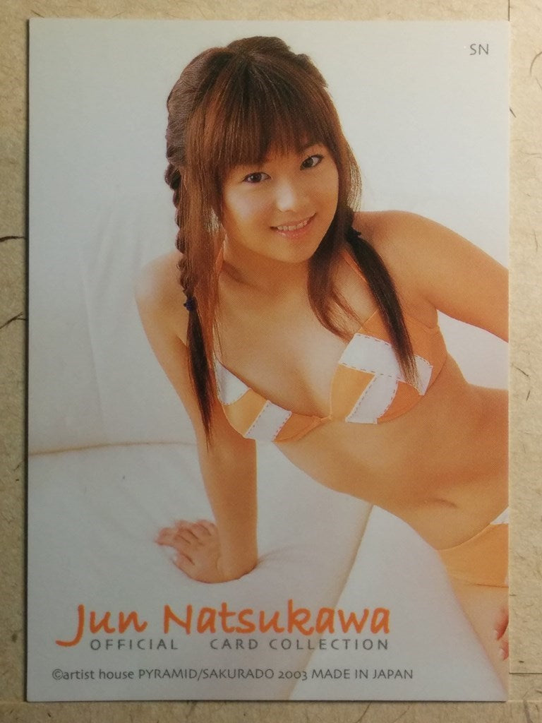 Japanese Idol Collective Cards  -Jyun Natsukawa-   Trading Card OCC/JN-SN