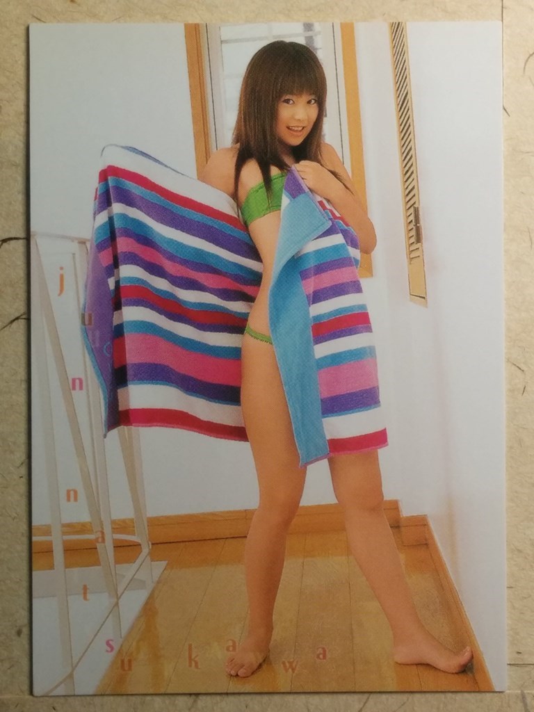 Japanese Idol Collective Cards  -Jyun Natsukawa-   Trading Card SAK/2003/JN-58