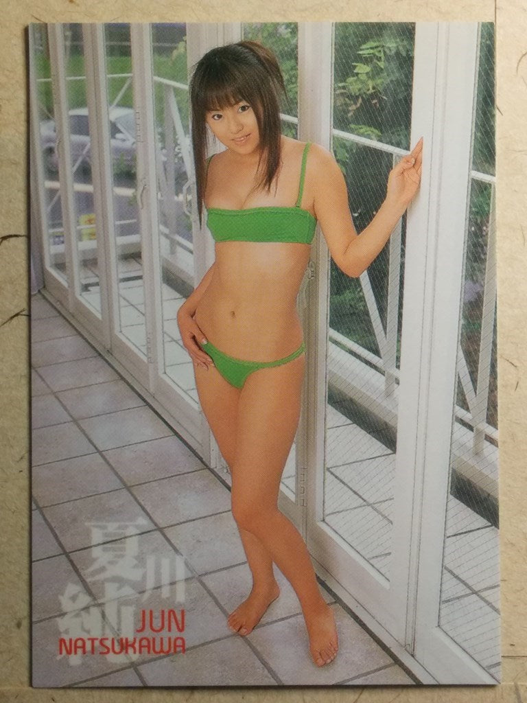 Japanese Idol Collective Cards  -Jyun Natsukawa-   Trading Card SAK/2003/JN-03