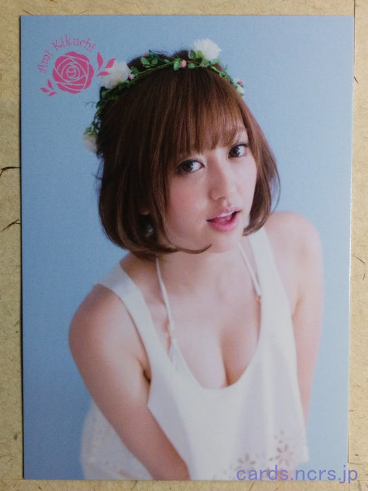 Regular  -Ami Kikuchi-  33 Trading Card REG-2014-033