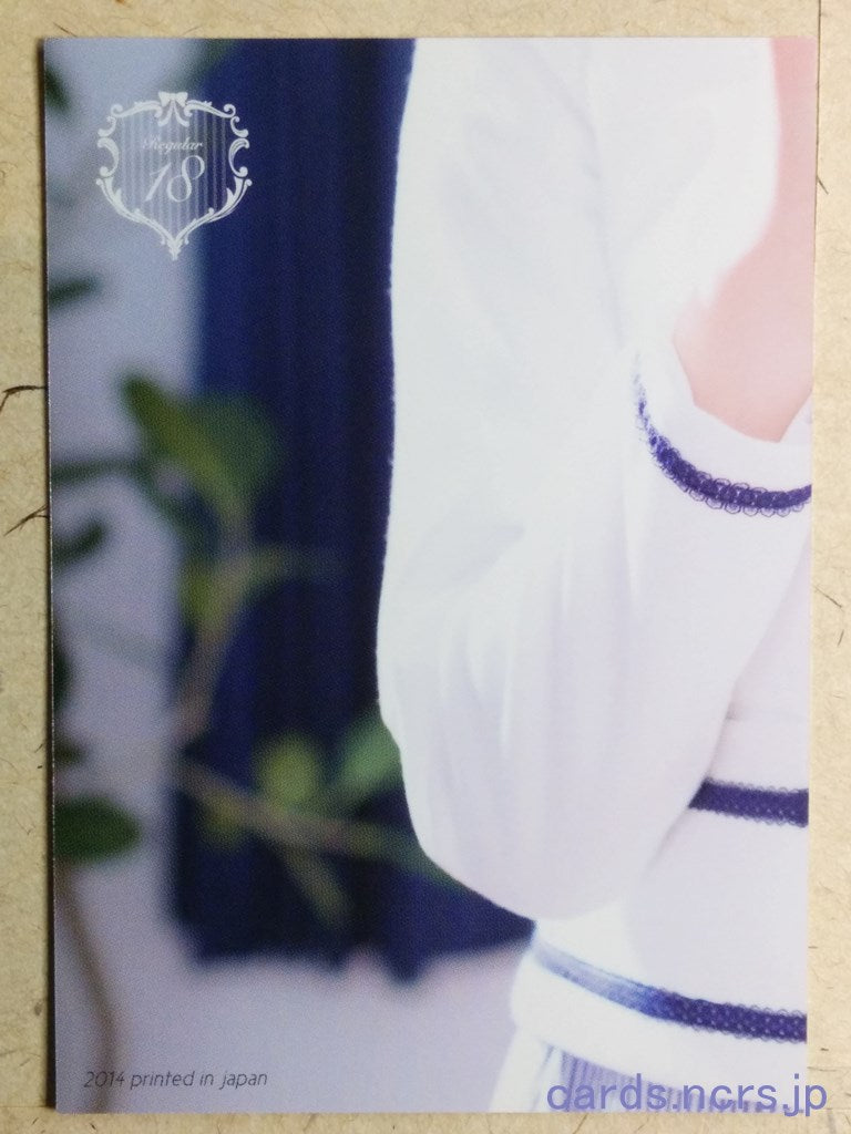 Regular  -Ami Kikuchi-  18 Trading Card REG-2014-018