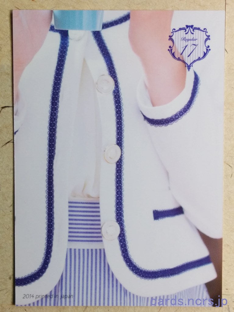 Regular  -Ami Kikuchi-  17 Trading Card REG-2014-017