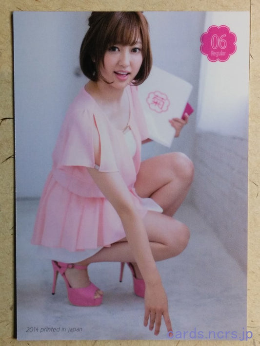 Regular  -Ami Kikuchi-  06 Trading Card REG-2014-006
