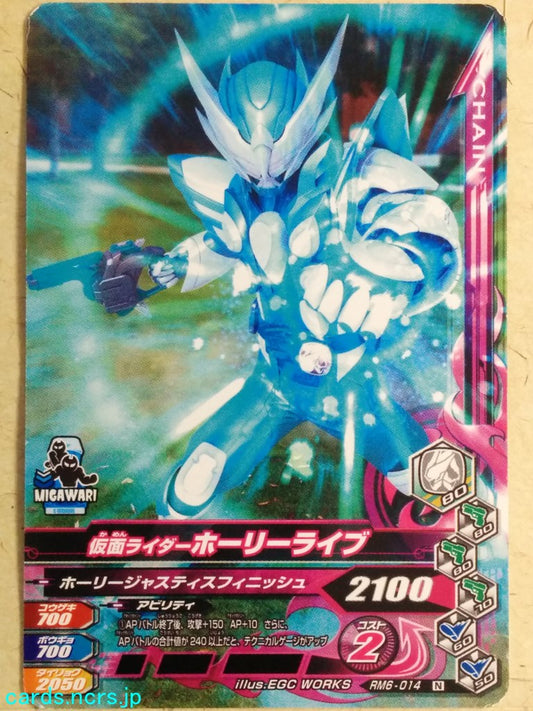 Ganbarizing Kamen Rider -Live-  Horry Trading Card GAN/RM6-014N