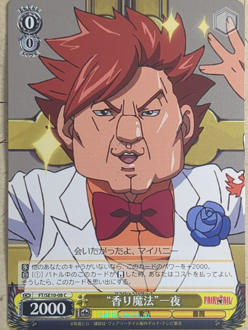 Weiss Schwarz Fairy Tail -Ichiya Vandalay Kotobuki-   Trading Card FT/SE10-08C