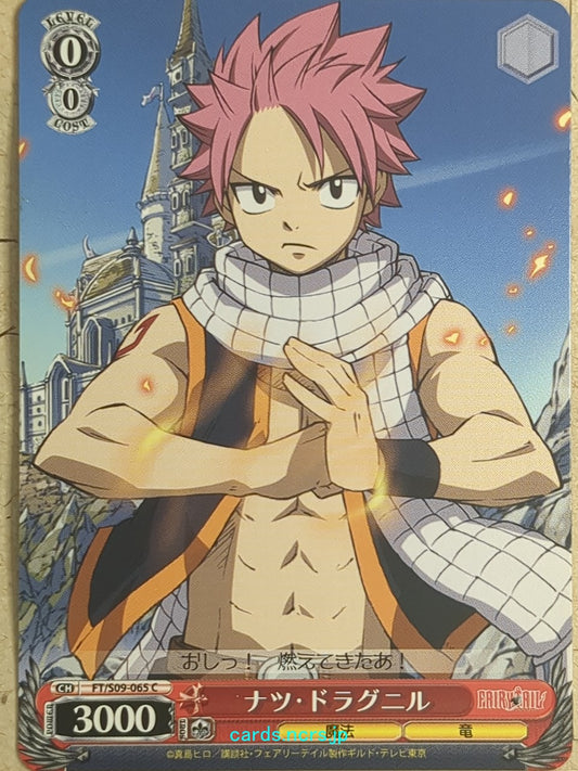Weiss Schwarz Fairy Tail -Natsu Dragneel-   Trading Card FT/S09-065C
