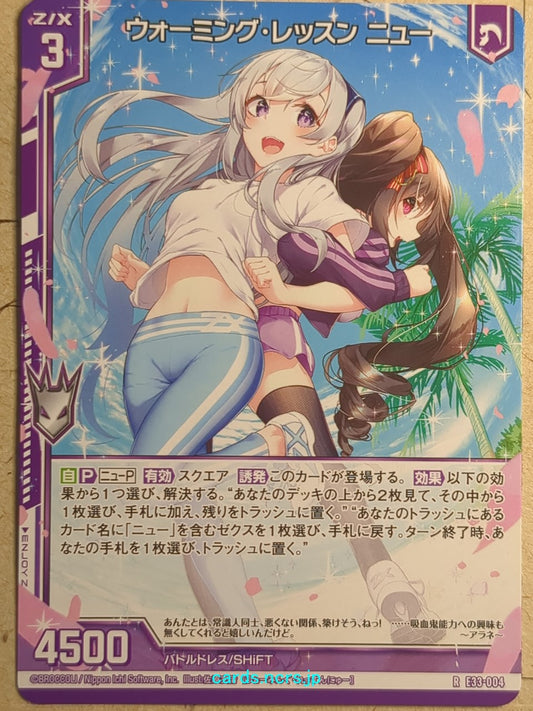 Z/X Zillions of Enemy X Z/X -Nu-  Warming Lesson Trading Card R-E33-004